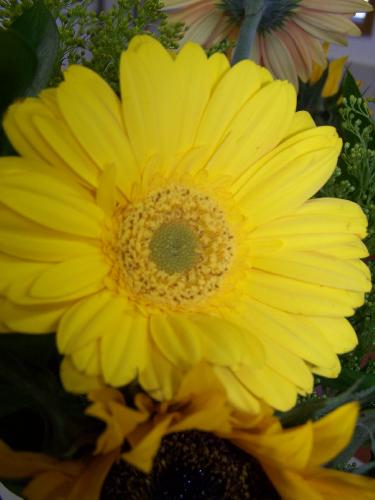 Showers for Jess and Mike 025.jpg