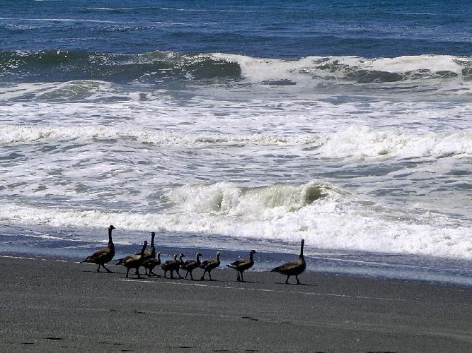 Lindapicsmayjune 182_edited.jpg