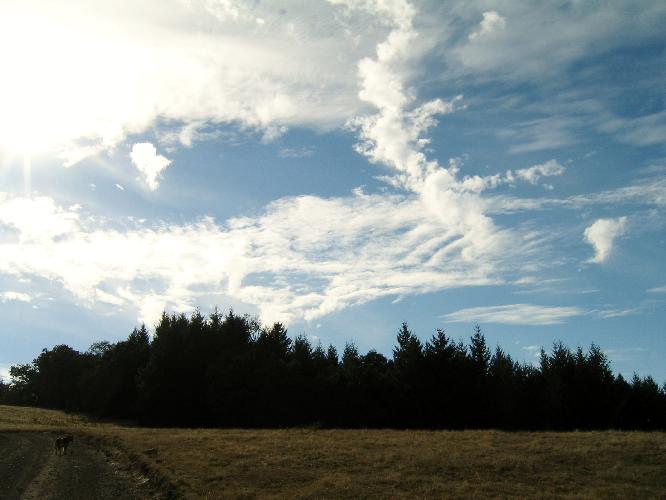 Brian and all 337.jpg